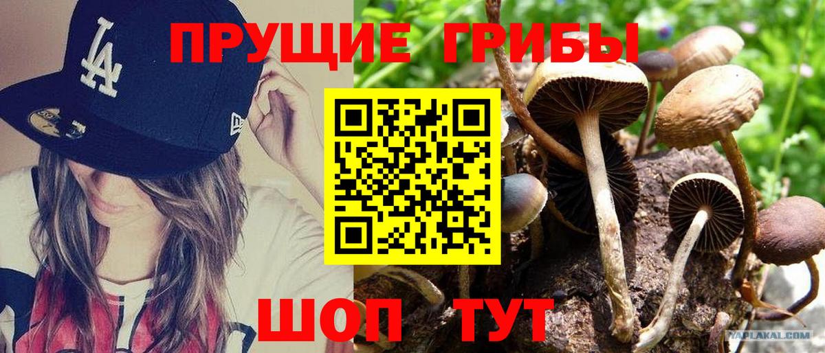 Галлюциногенные грибы прущие грибы  Вход с VPN  Южноуральск 